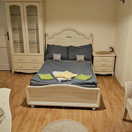 U Centra Appartement *